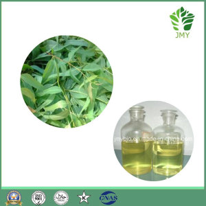 Hot Product Pure Eucalyptus Essential Oil, Cineole 80%, Flavor Oil
