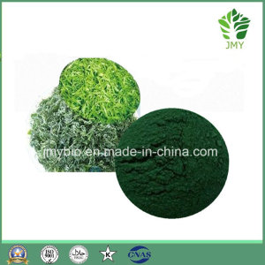 Natural Spirulina Extract Spirulina Powder